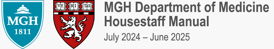 mgh whitebook logo 2024